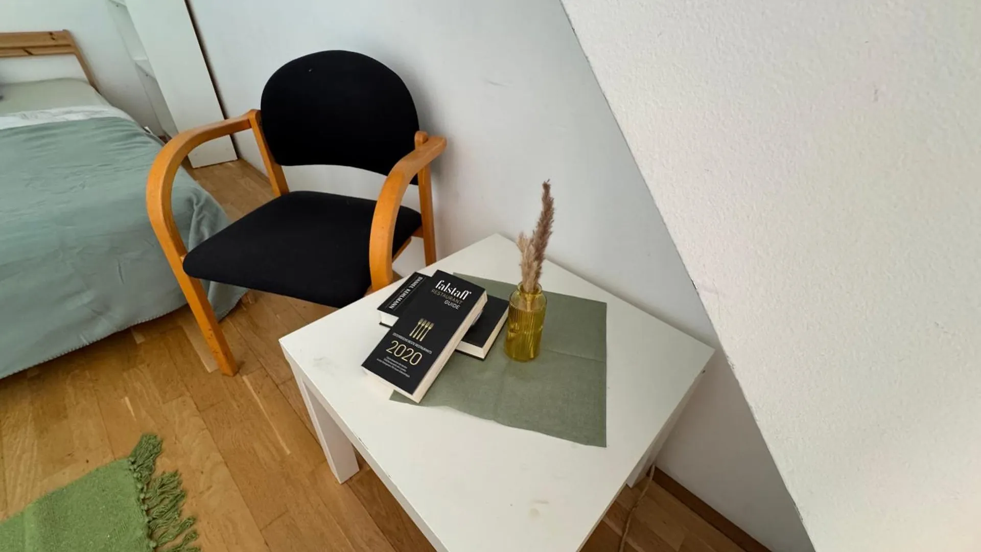 Helles Zimmer Mit Dachterrasse Nahe Schoenbrunn Vienna Austria